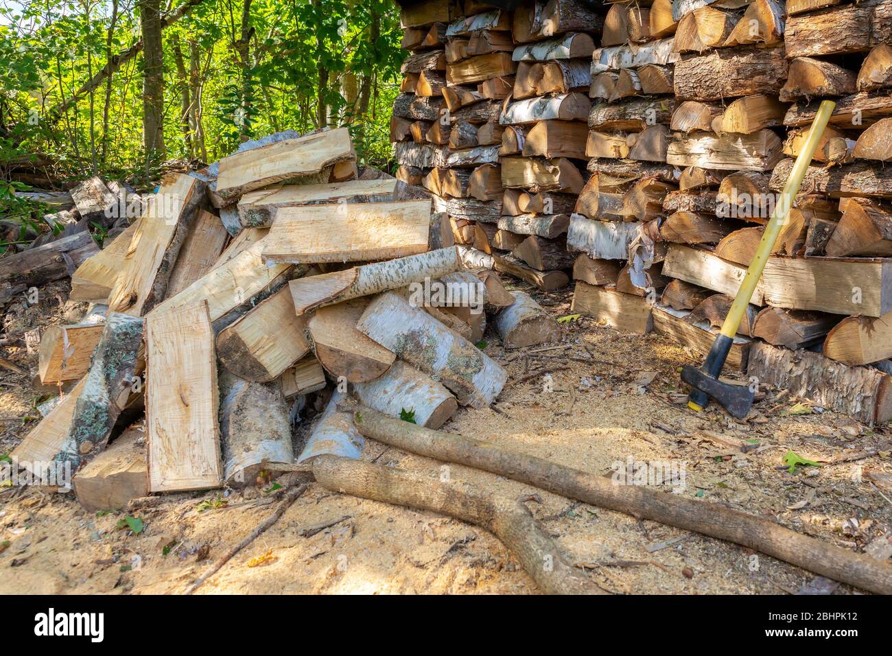 A heap of partially split wood next to a neatly stacked woodpile. An axe leaning against the stack. Sunny day, but in the shade. Forest in the backgro Stock Photo