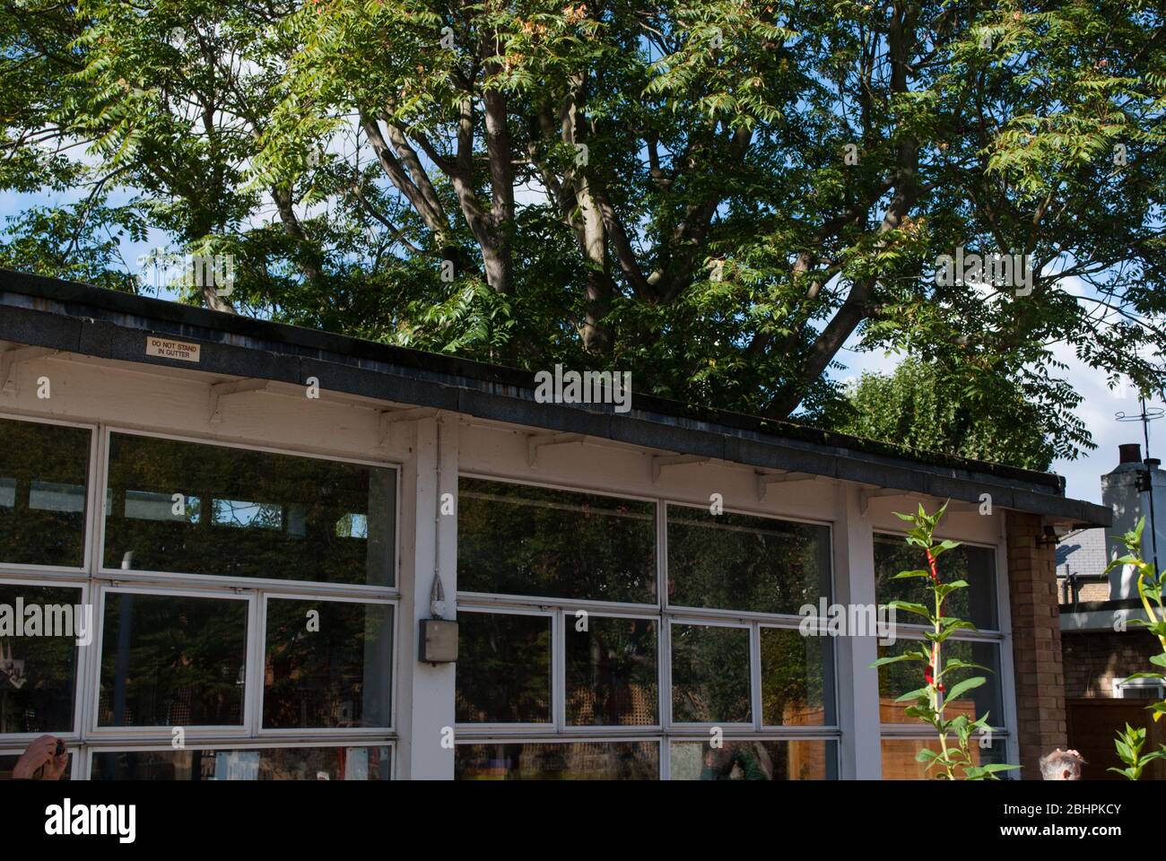 Hammersmith Shepherds Bush Modernist Architecture Mid Century Yellow