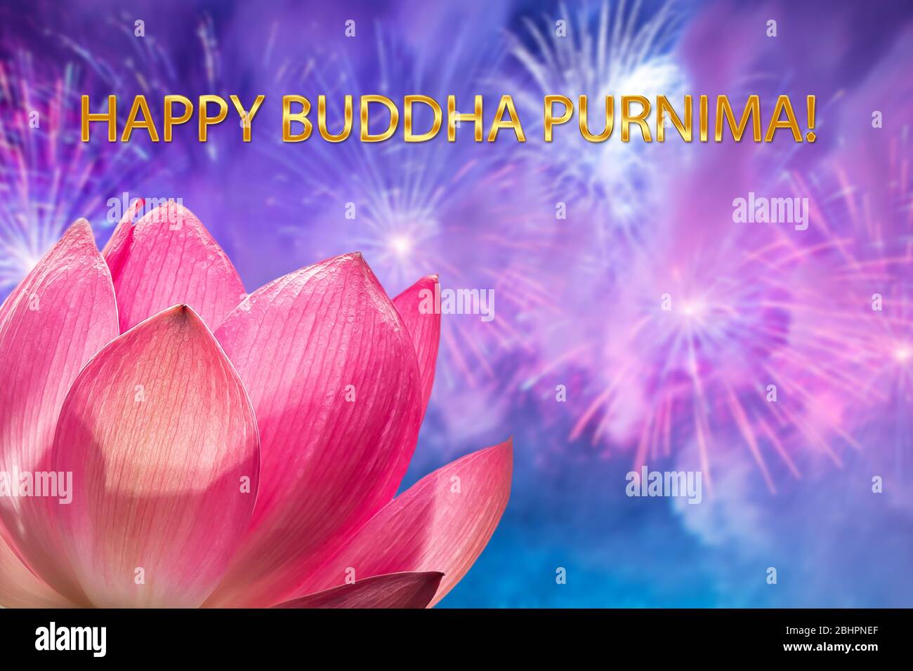 The concept of Purnima Buddha day: a silhouette of a pink Lotus flower against the background of a festive salute. Text of a holiday greeting. Stock Photo