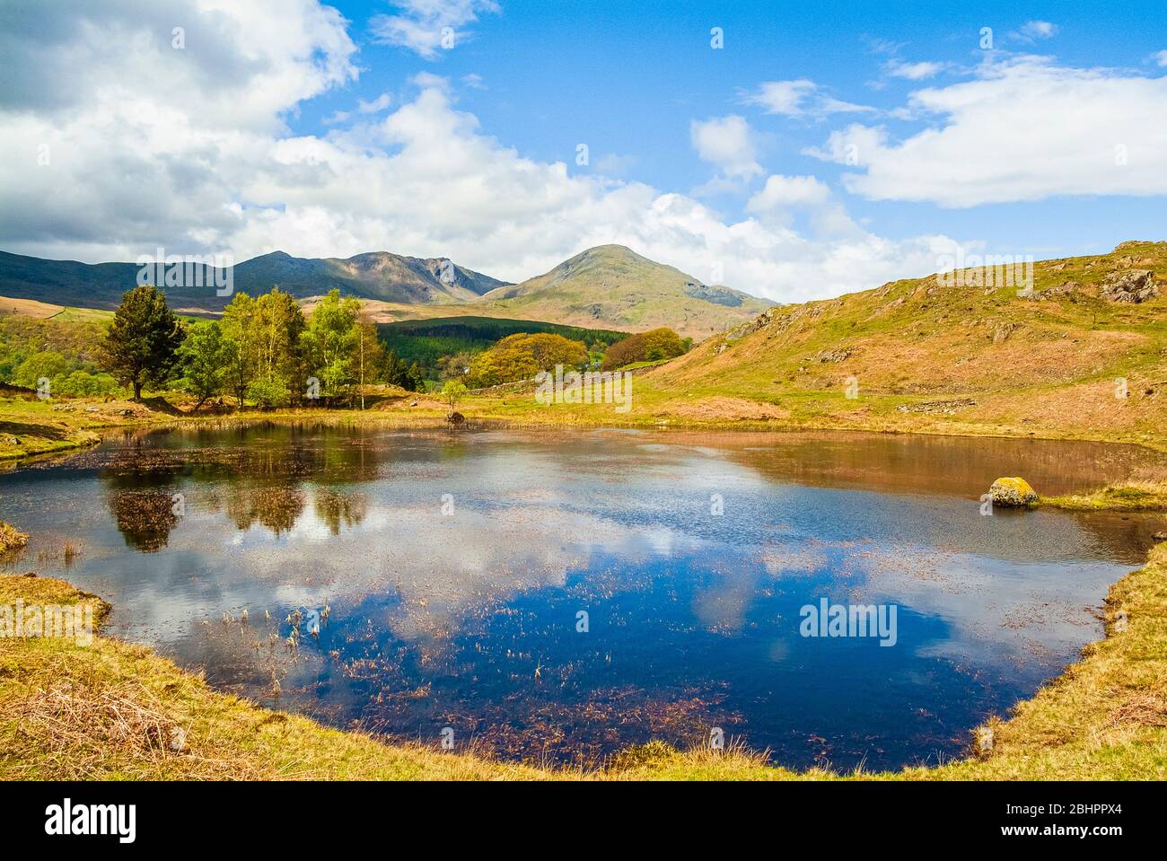Kelly Hall Tarn near Torver in the Lake District, with Dow Crag and Coniston Old Man behind Stock Photo
