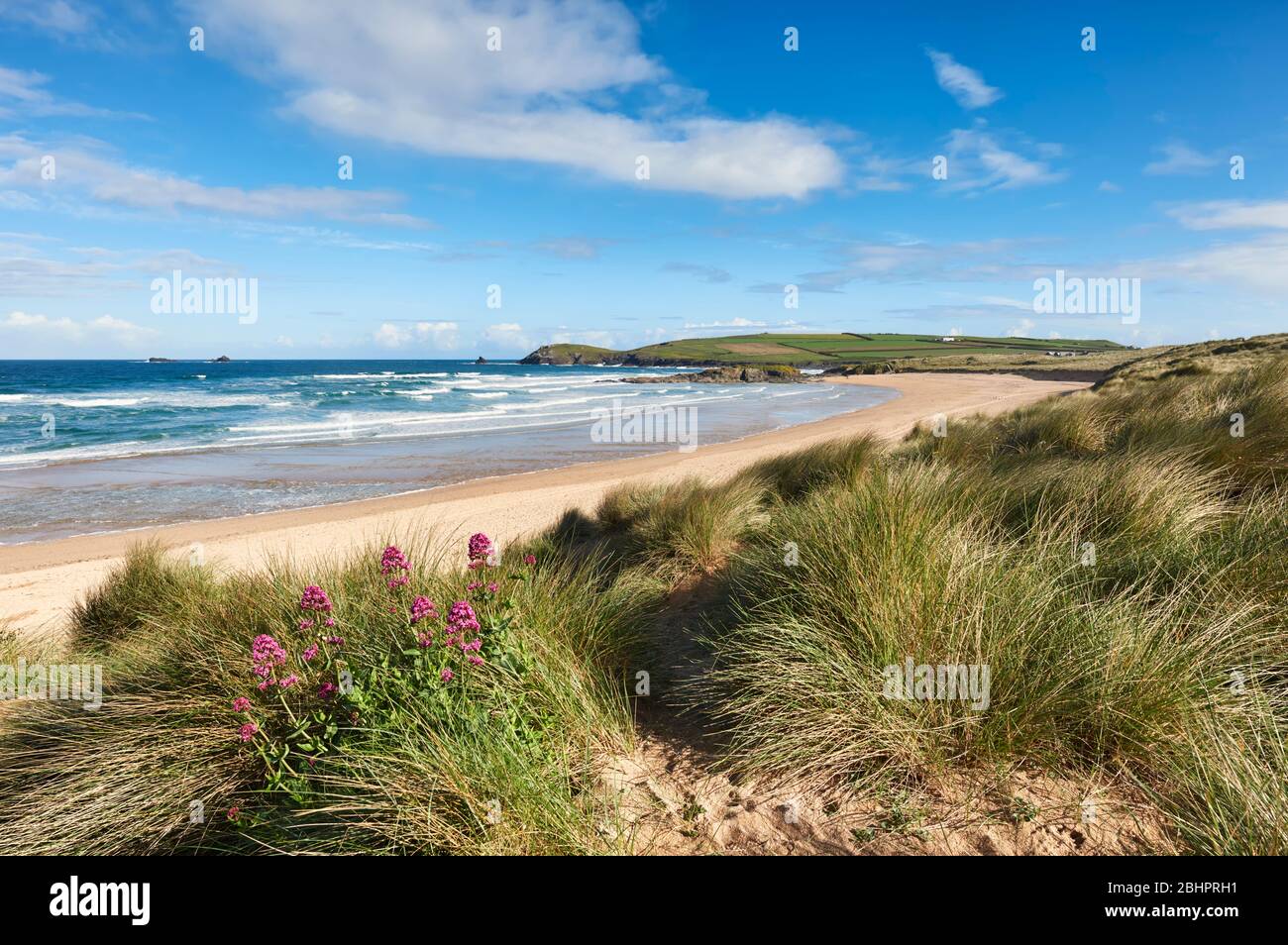 Sand dunes at Constantine Bay, North Cornwall Stock Photo