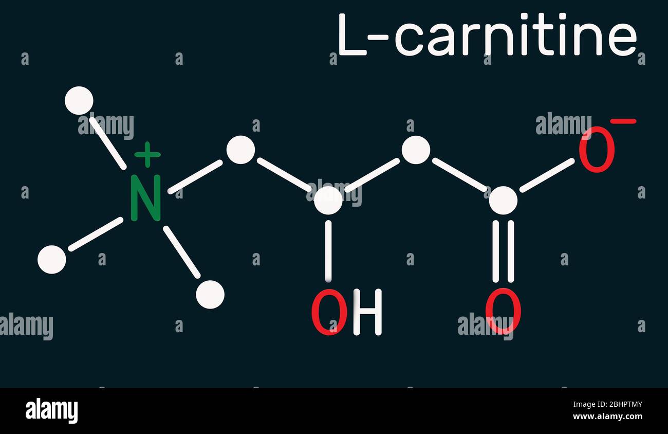 Lcarnitine, Levocarnitine, Carnitine, C7H15NO3 molecule. Skeletal