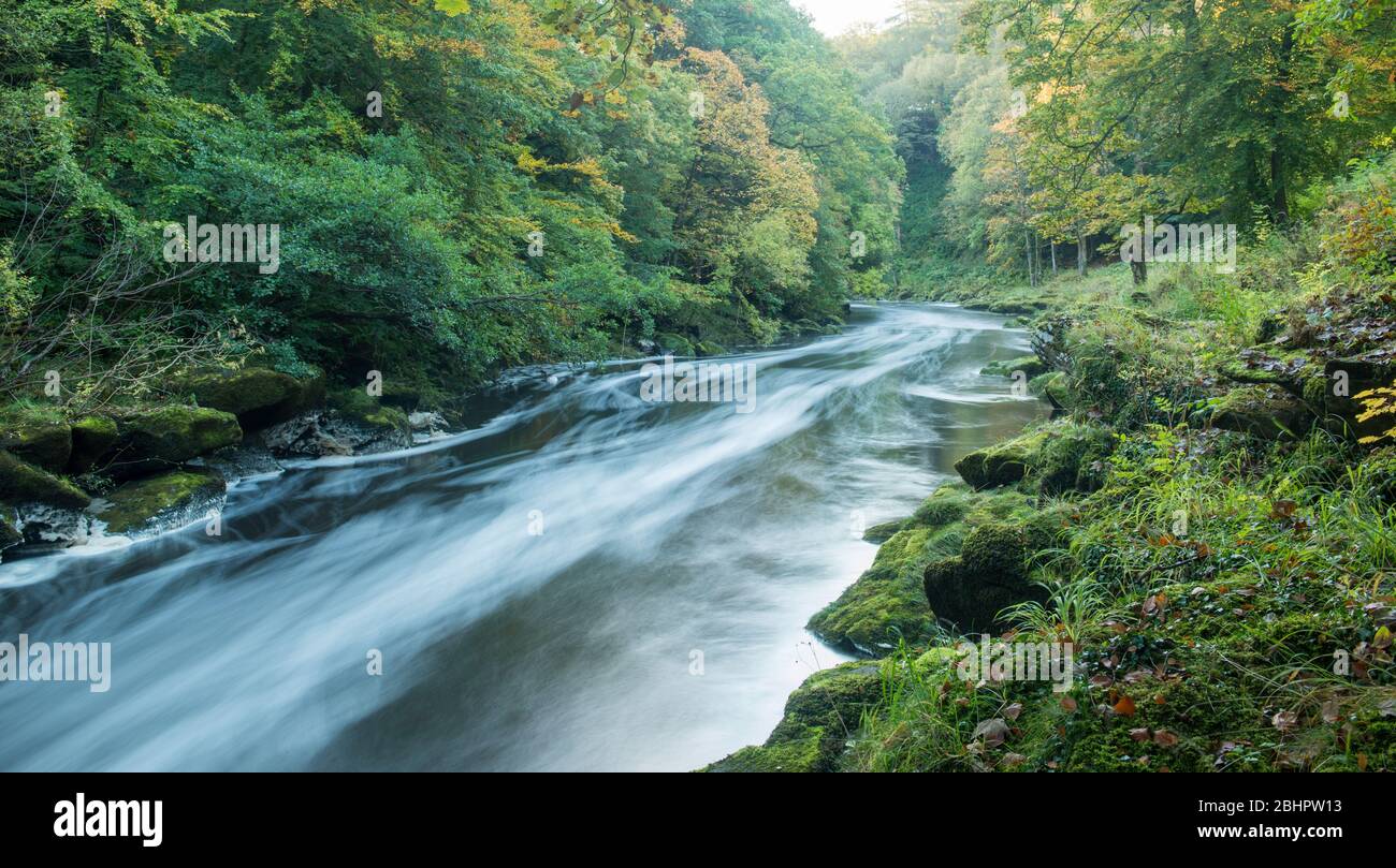 The Strid on the River Wharfe in Wharfedale, North Yorkshire Stock Photo