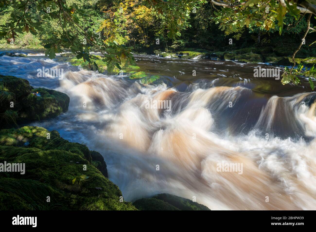 Fast flowing rapids on the River Wharfe above the Strid, near Bolton Abbey, Yorkshire Dales National Park Stock Photo