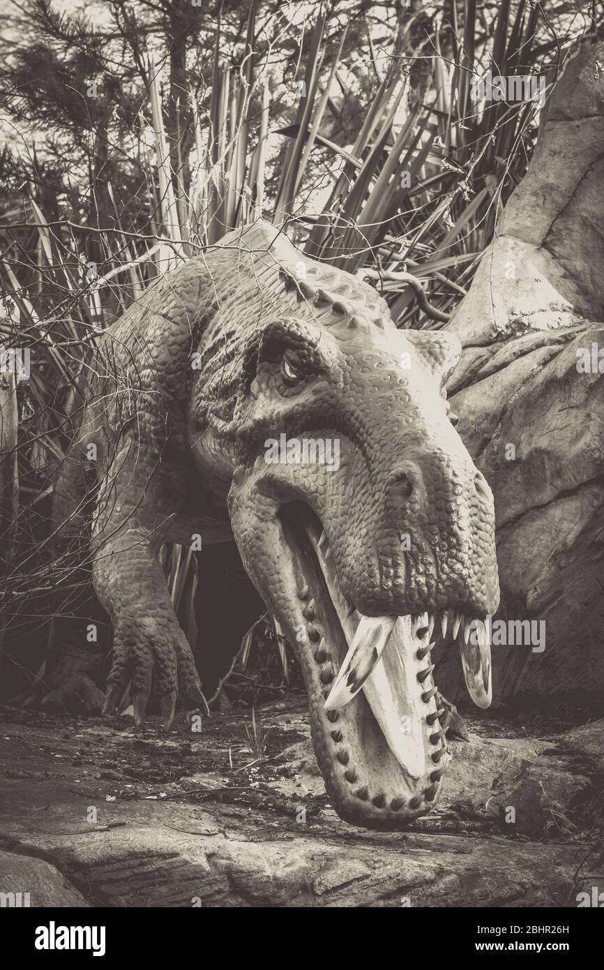 Monochrome, front close up of life-size prehistoric animal, animatronic dinosaur model, Land of the Living Dinosaurs, West Midland Safari Park, UK. Stock Photo