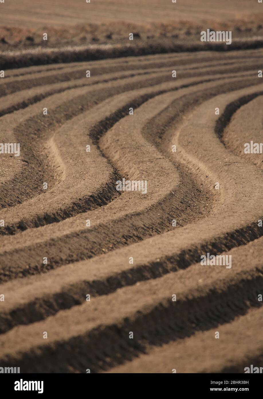 Ridge and furrow ploughed field in England, UK. Stock Photo