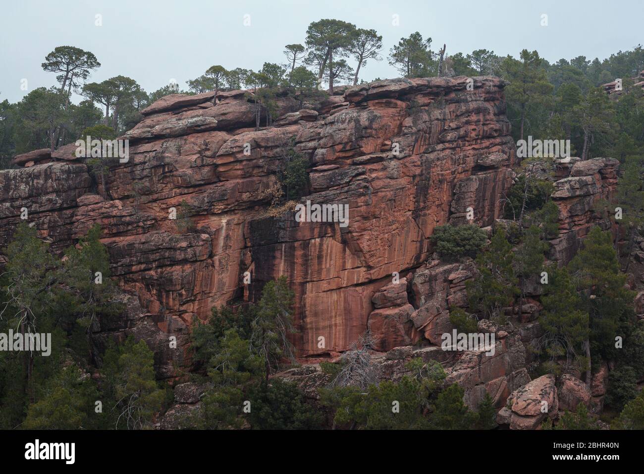 Tall slab of rock in Rodeno Pine Forest national park in Albarracin ...