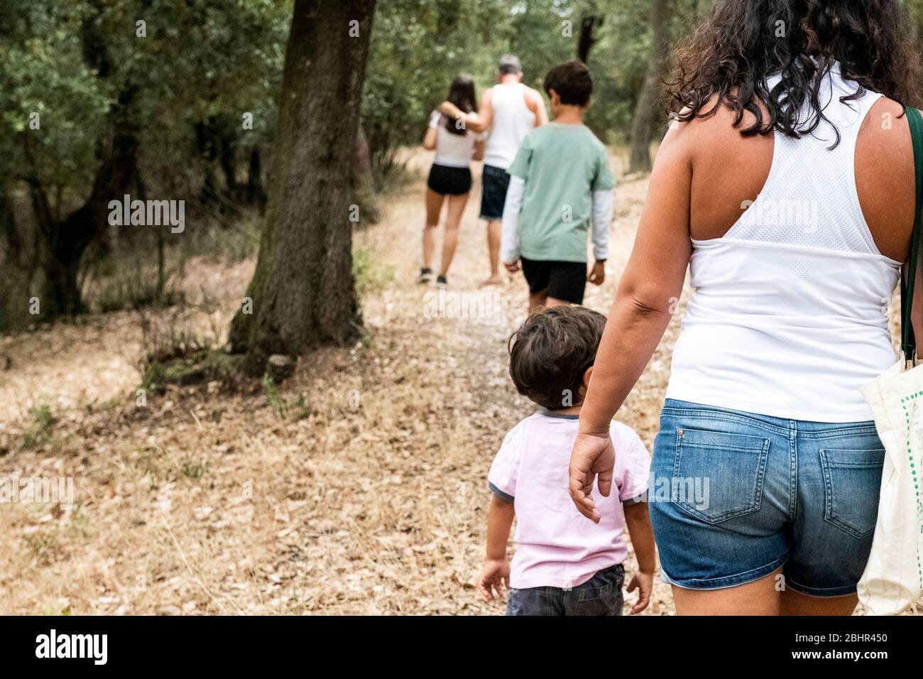 Rear view of family with three children walking along path through a forest. Stock Photo