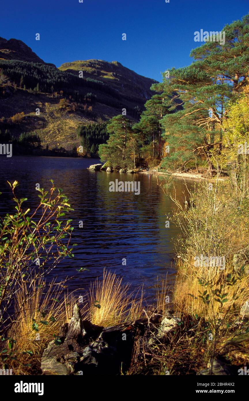 Loch Eck, Cowal, Argyll Stock Photo Alamy