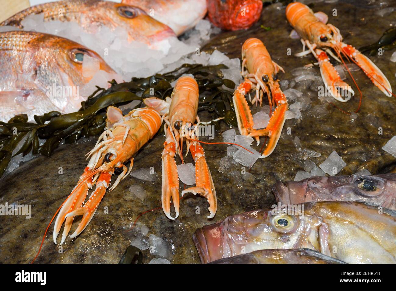 Prawn shrimp langoustine norway lobster scampi crustacean hires stock