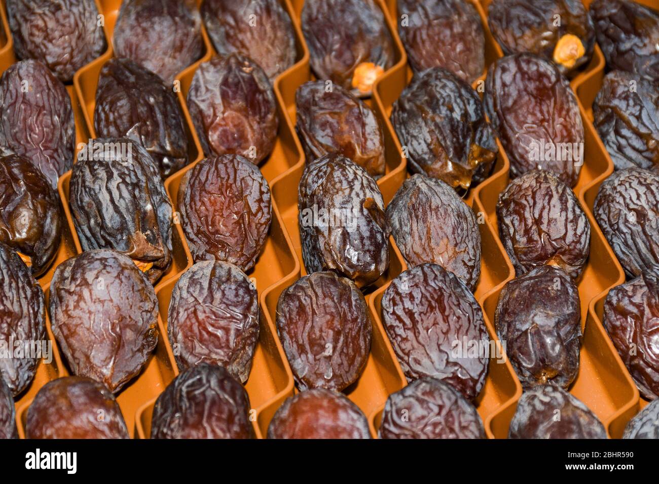 Dried fruits dates, plums, apricots, figs with walnut filling, for sale
