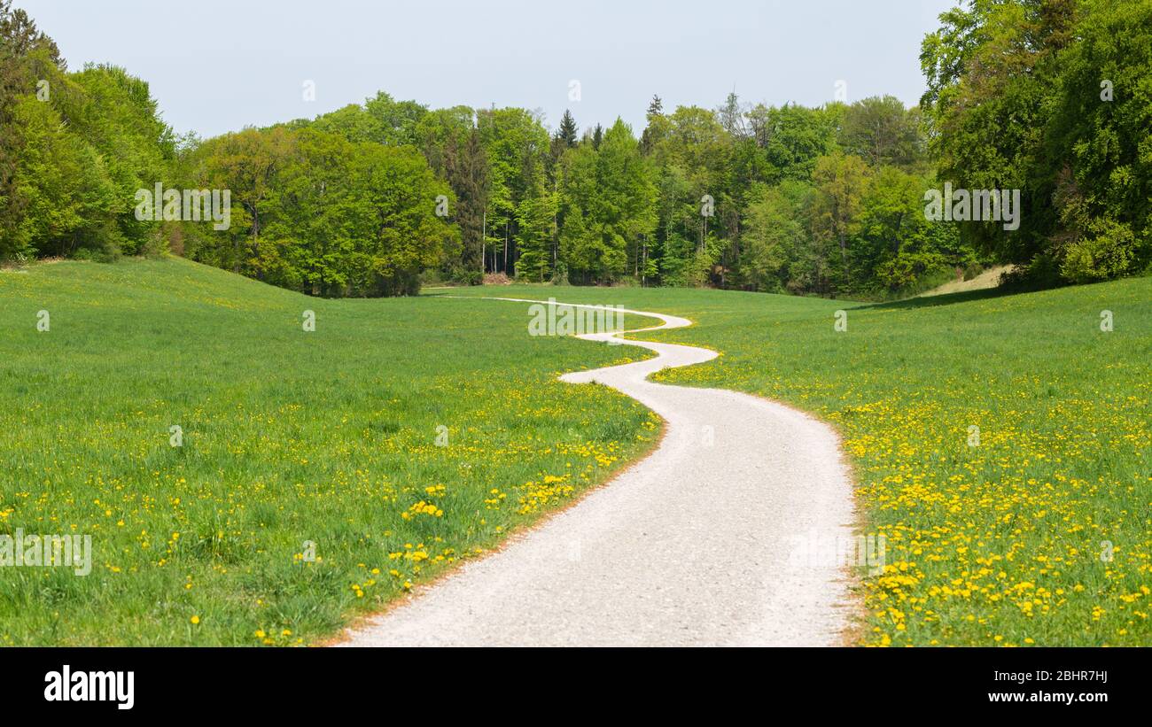 Long and winding road leading away from the viewer into the woods. Zig zag path with green meadow. Concept for hope, unknown, curiosity, journey. Stock Photo