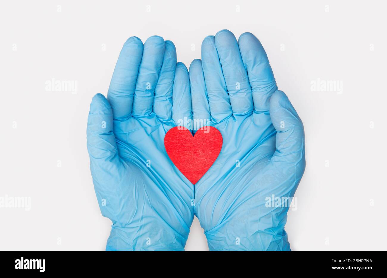 Hands in medical gloves holding a red heart shape model on white background. Cardiology. organ donation or Healthy heart concept Stock Photo