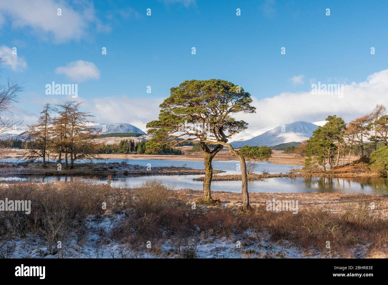 Loch Tulla by Bridge of Orchy, Argyll Stock Photo