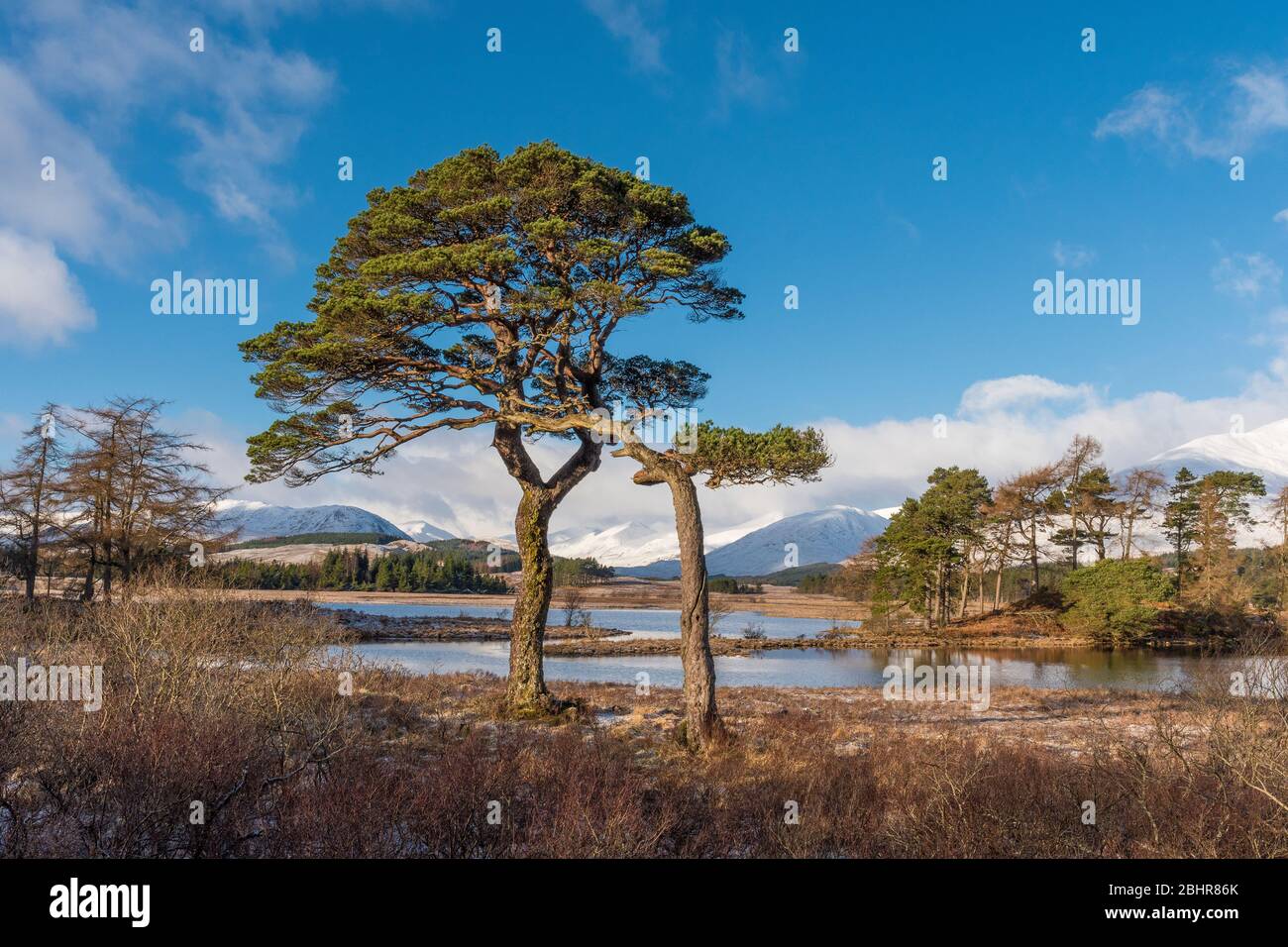 Loch Tulla by Bridge of Orchy, Argyll Stock Photo
