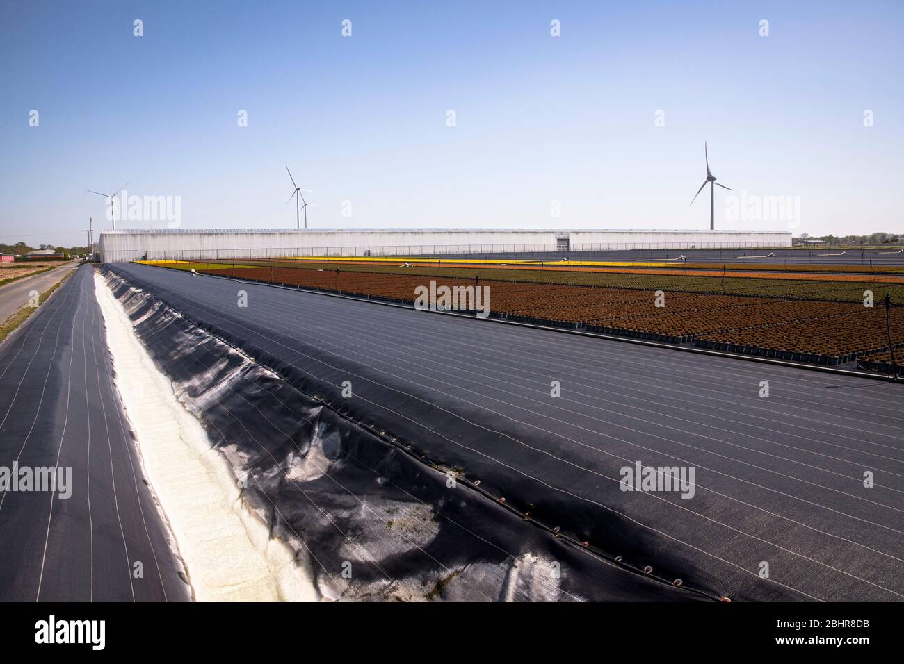 flower pots of a large nursery garden, cultivation, drainage system