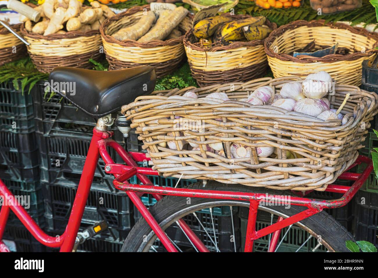 Rome, Italy.  Fruit and vegetable stall at the daily market in the Campo dei Fiori.  Red bicycle with woven basket full of garlic. Stock Photo