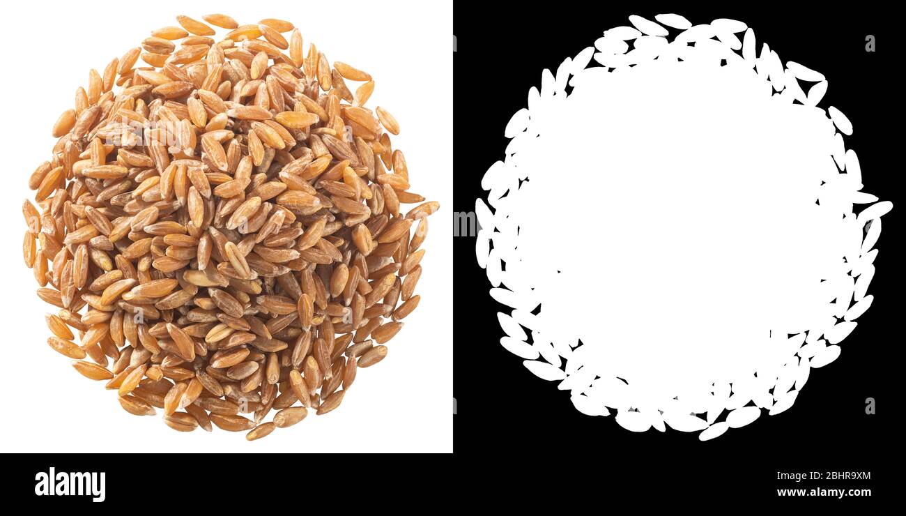 Pile of spelt, farro or einkorn hulled wheat, isolated, top view Stock Photo Alamy