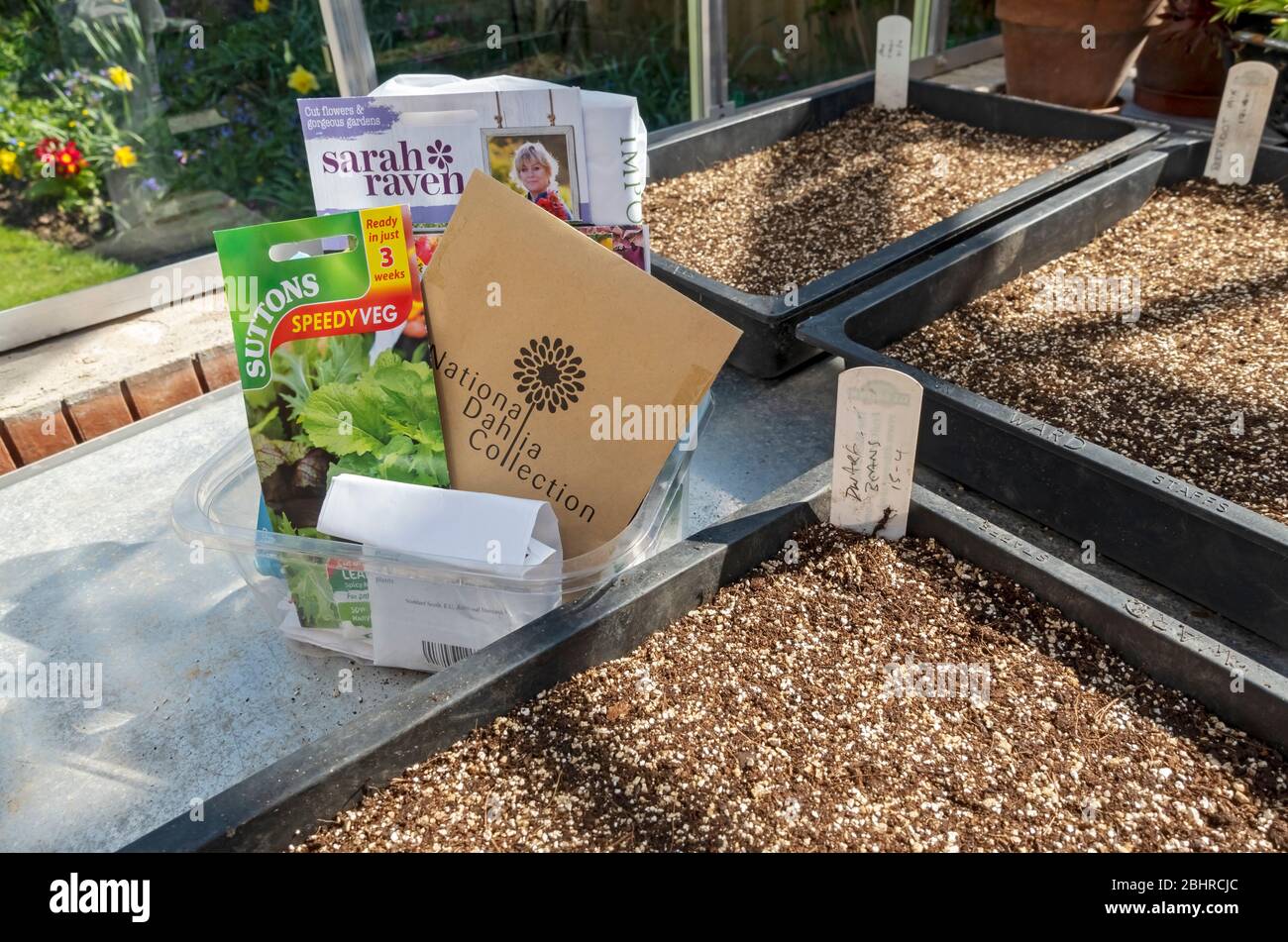 Close up selection of packets of seeds and seed trays pots filled with potting compost ready for sowing in a greenhouse in spring England UK Britain Stock Photo