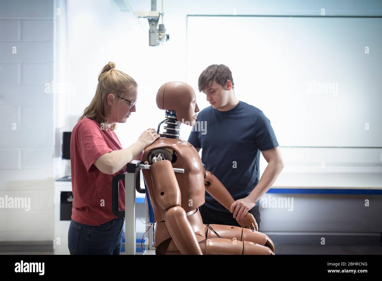 Two students working on a test dummy in a workshop. Stock Photo