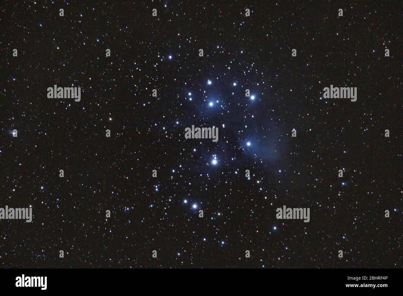 M45 - the Pleiades, Seven Sisters, Deep Sky Astrophoto, Science. the plejades M45 open star cluster in the constellation of taurus. Stock Photo
