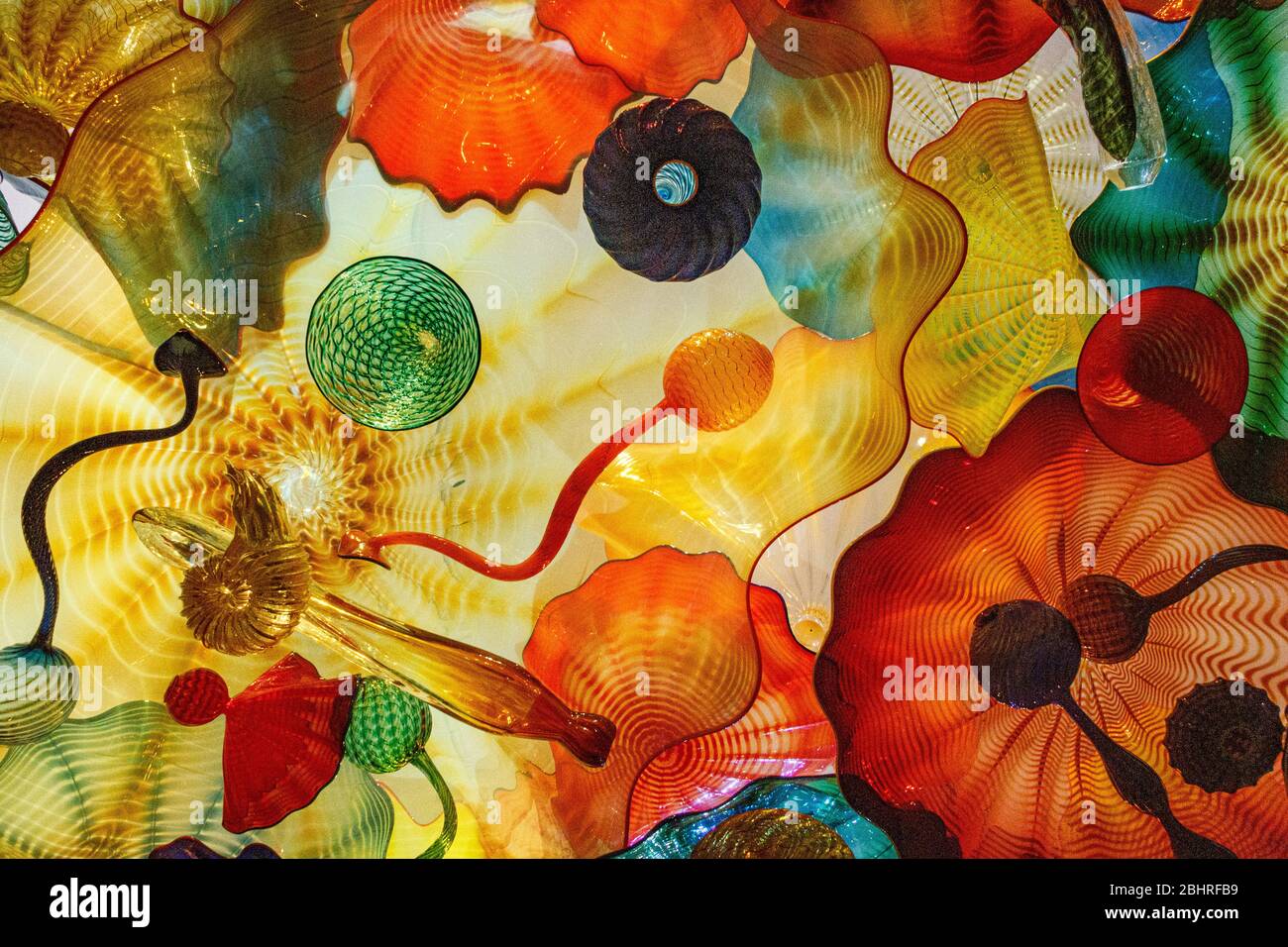 Chihuly Collection in St. Petersburg FL Stock Photo