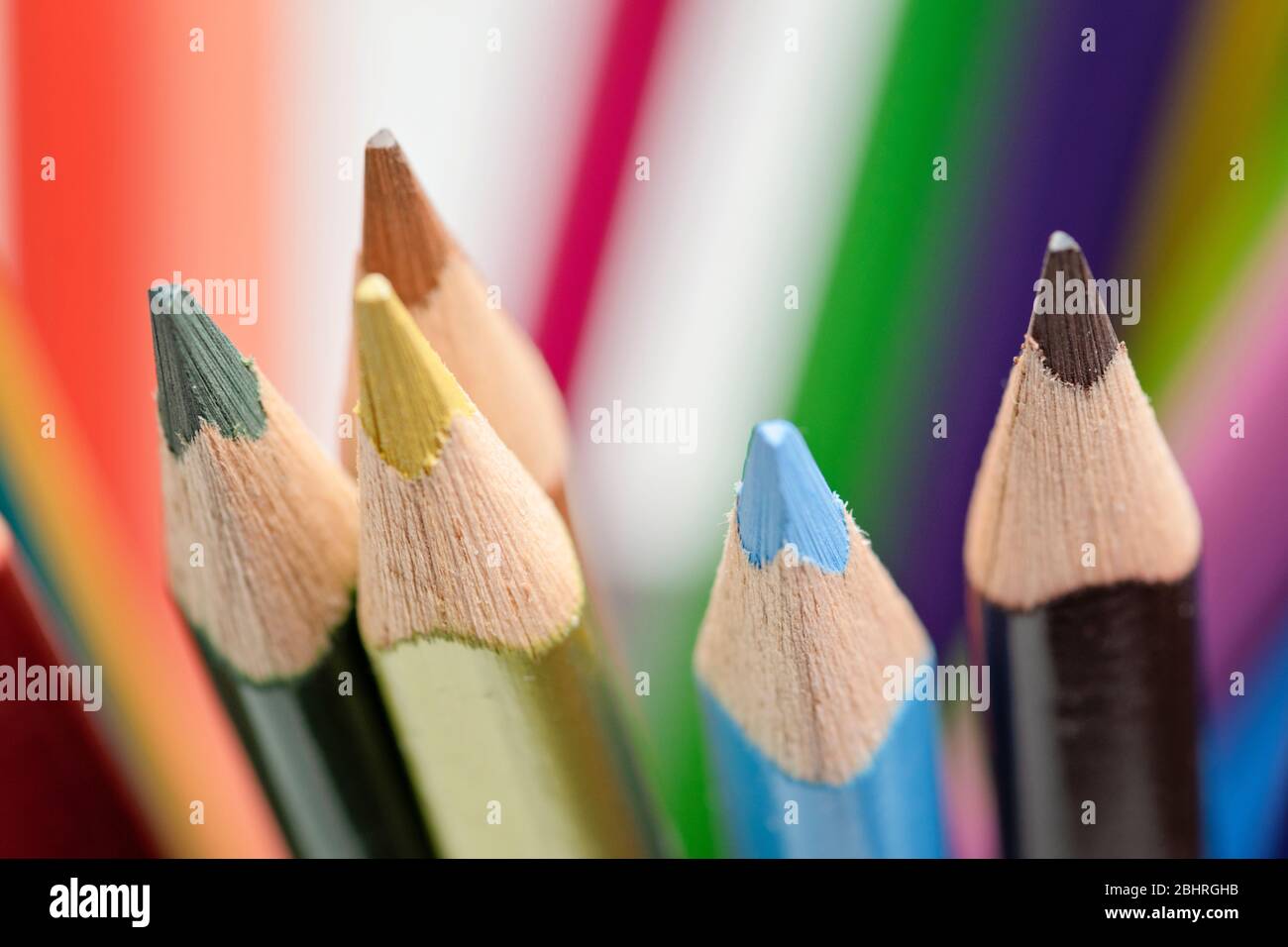 Selective focus on multi colored pencils. Close-up view on bright colored pencils for drawing and art. Creativity concept. Back to school. Stock Photo