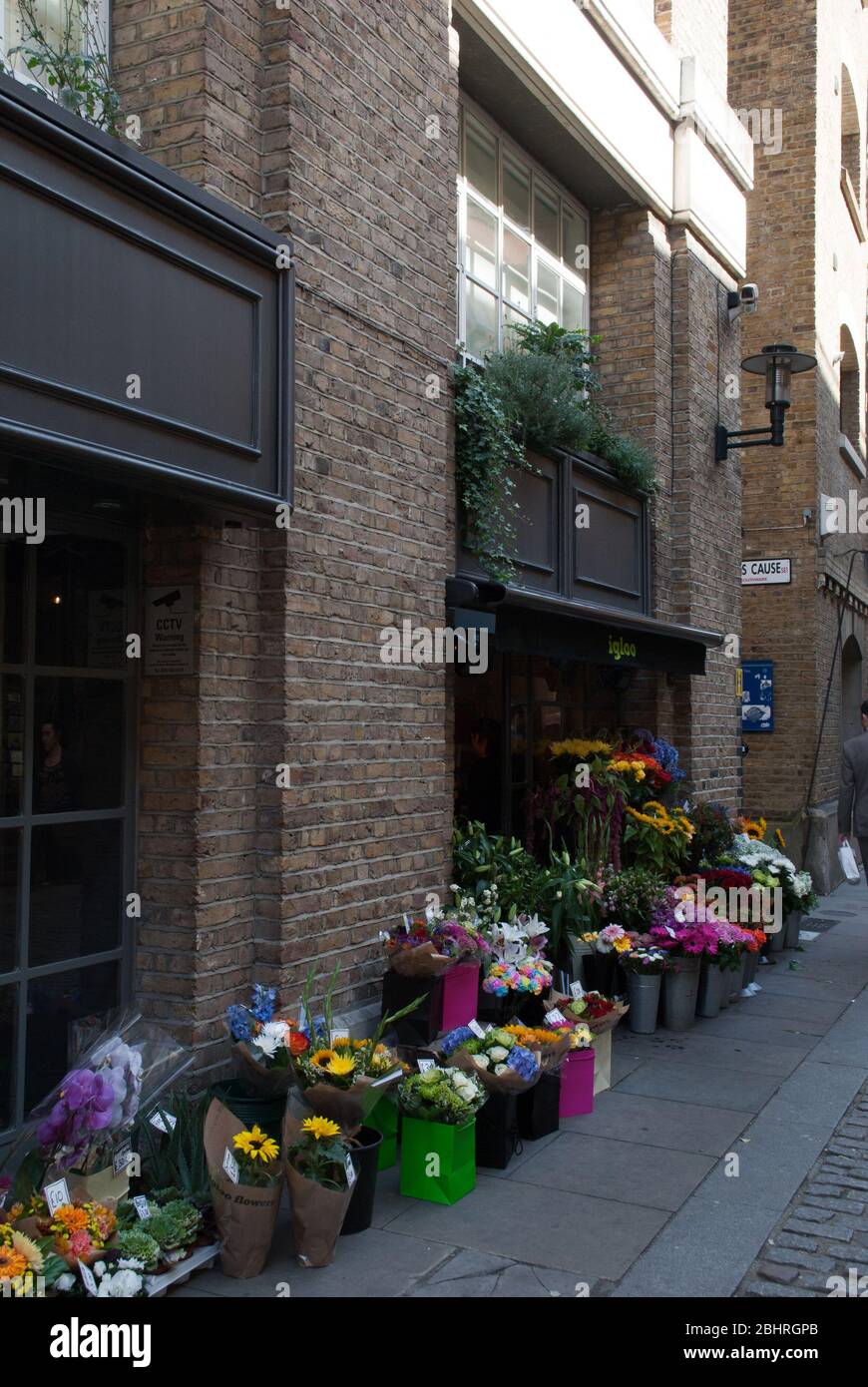 Shad flower hires stock photography and images Alamy