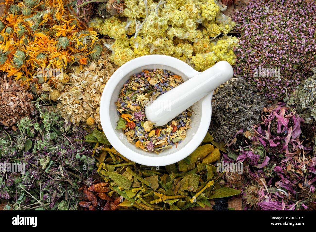 Healing herbs and mortar of medicinal herbs - thyme, coneflower, marigold, daisies, helichrysum flowers, heather, mistletoe. Herbal medicine, top view Stock Photo