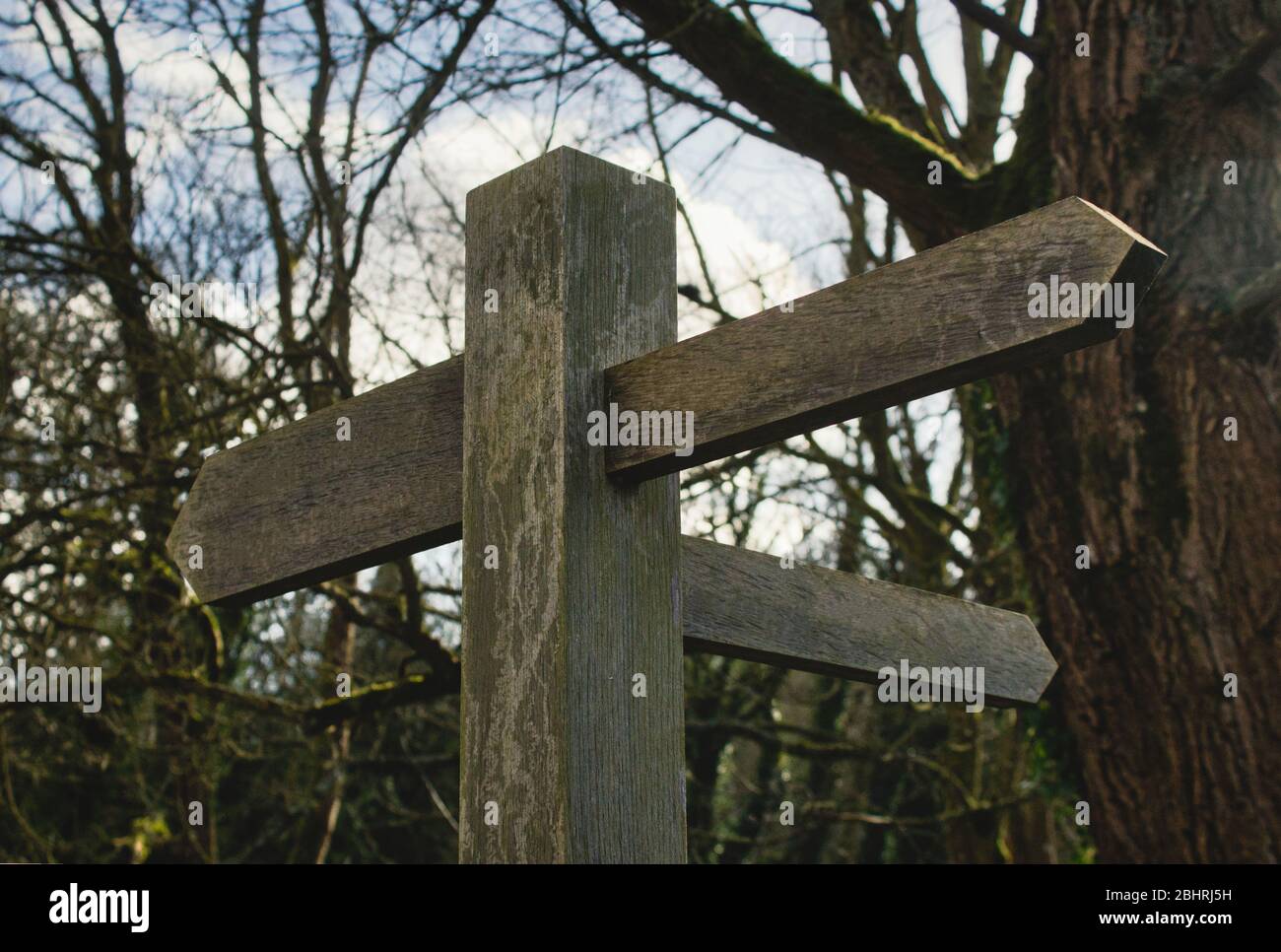 Traditional wooden signpost with blank arrows pointing in different ...