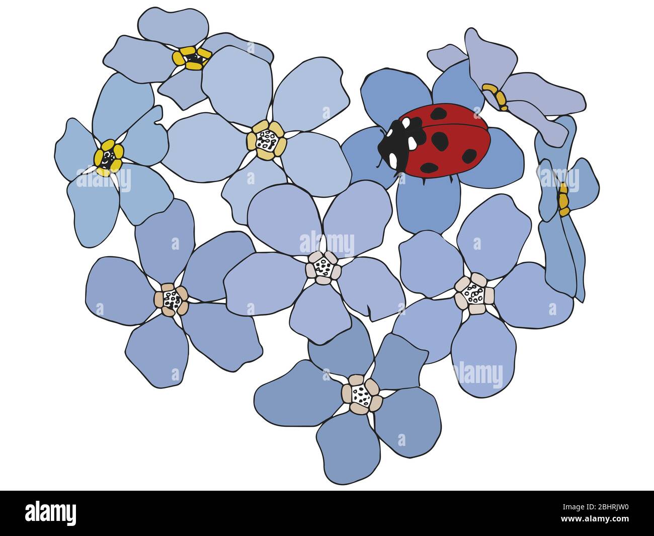 Heart shape made of flowers with a ladybug isolated on white background Stock Photo