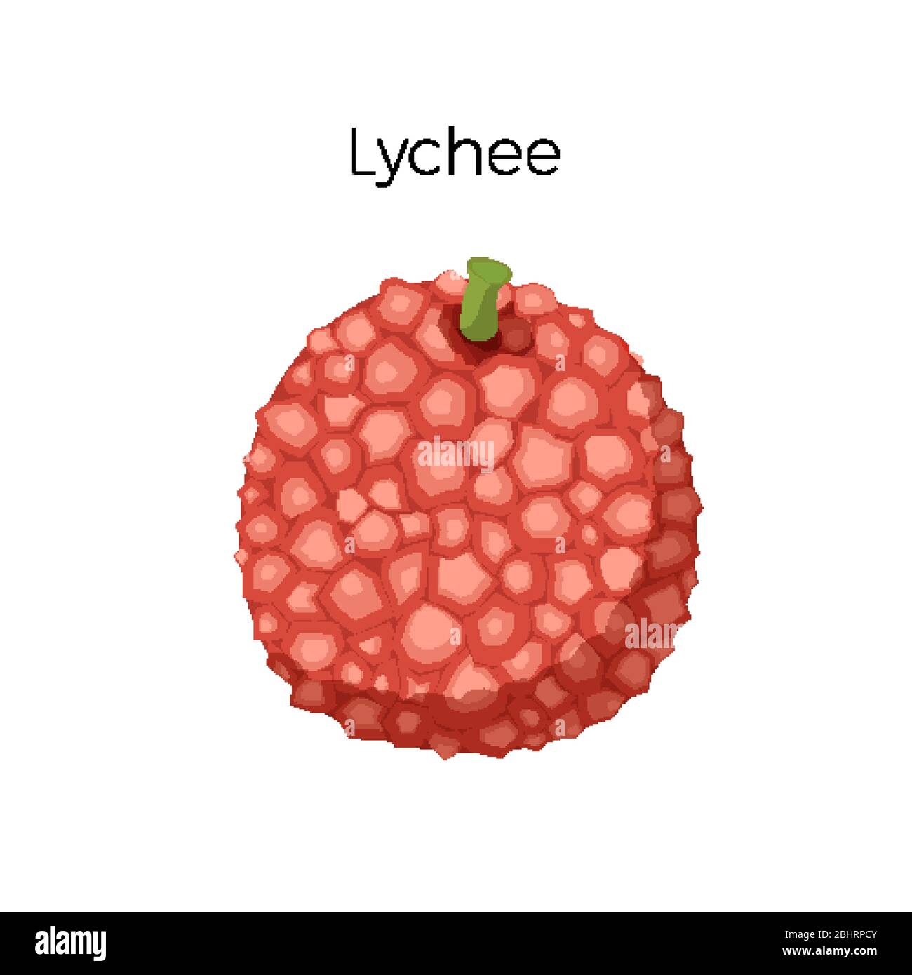 Lychee exotic fruit. fresh and helthy food. Vector illustration isolated on white Stock Vector