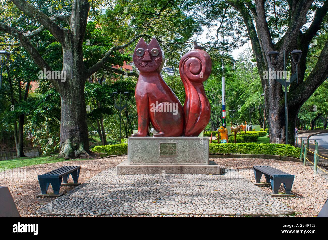 Parques gatos hotsell