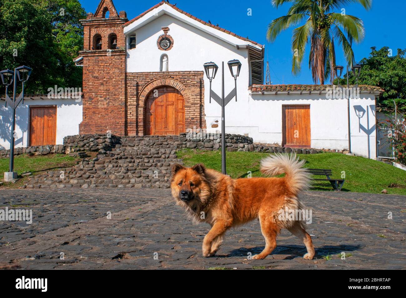 Dog in the San Antonio church or chapel in the neighbourhood of San Antonio of Cali in the Cauca Valley, Colombia, South America. Stock Photo