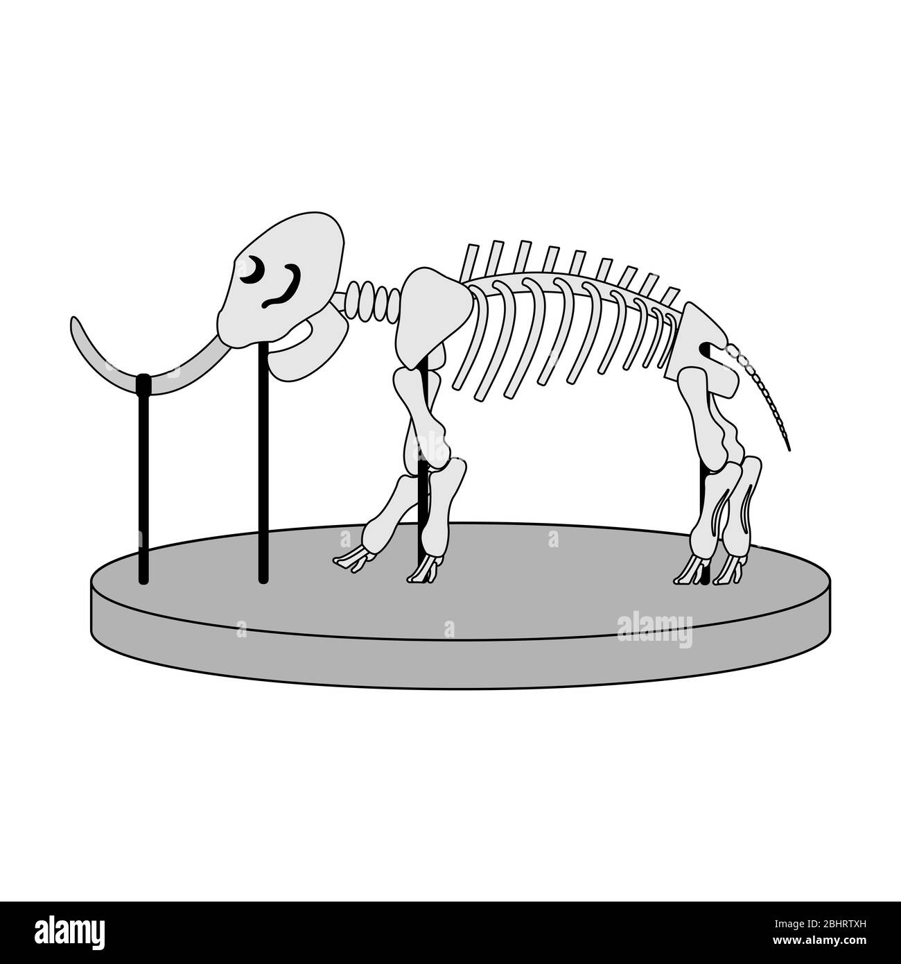 cartoon skeleton of mammoth on paleontology in museum of prehistory. white background isolated vector illustration Stock Vector