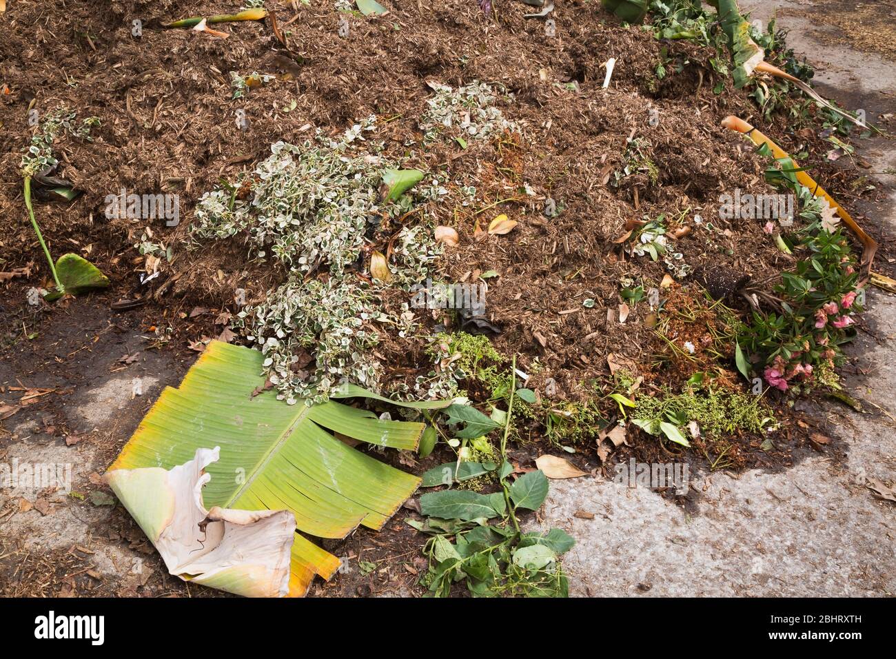 Pile of plant leaves, twigs and woodchips composting in outdoor bin Stock Photo