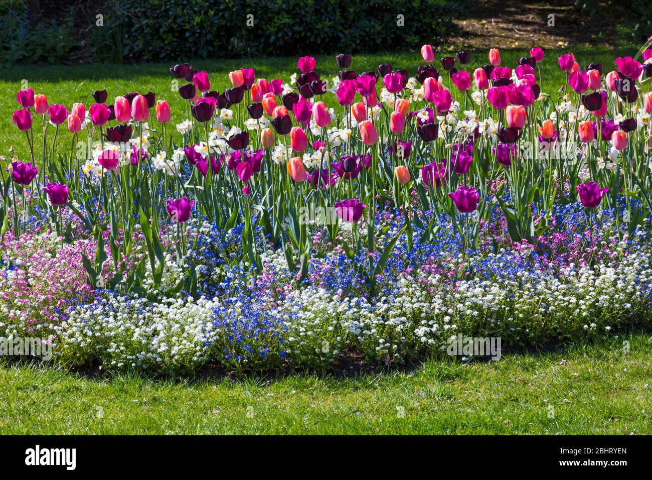 Riot Of Colour High Resolution Stock Photography and Images - Alamy