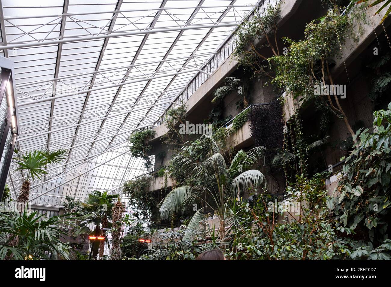 London, United Kingdom, 25th of January 2020: The Conservatory at The Barbican Centre, a performing arts centre in the Barbican Estate of the City of Stock Photo