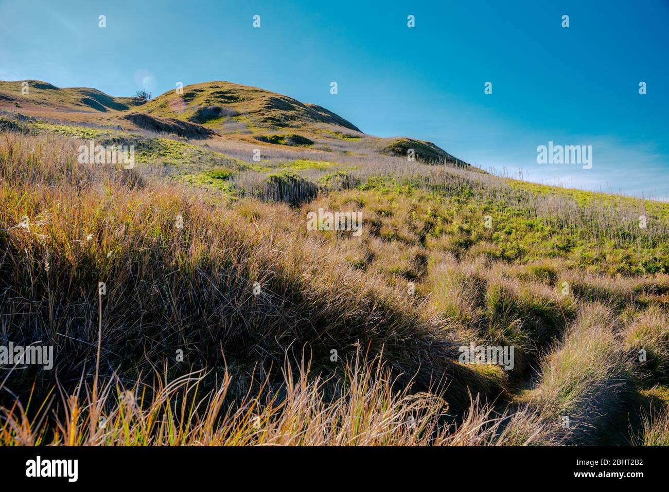 Scenic view at the slopes of Mount Pulag National Park, Benguet, Philippines. Stock Photo