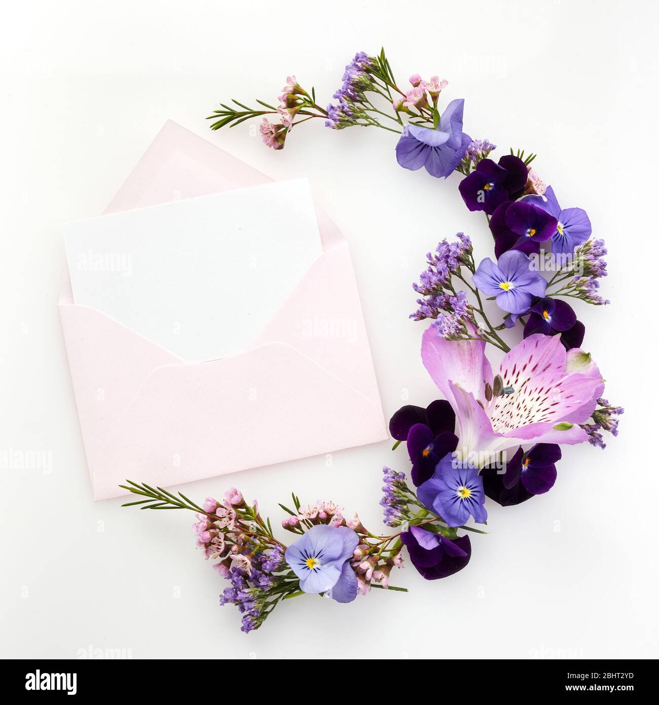 Blank white greeting card and envelope with purple wildflowers on white  background for creative work design. Flat lay Stock Photo - Alamy