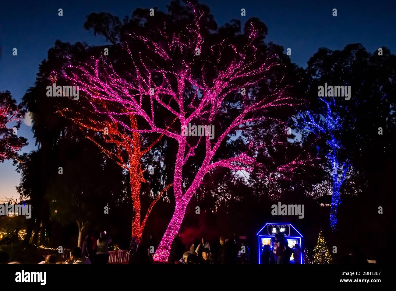 Phoenix Zoolights A Holiday Tradition Stock Photo Alamy