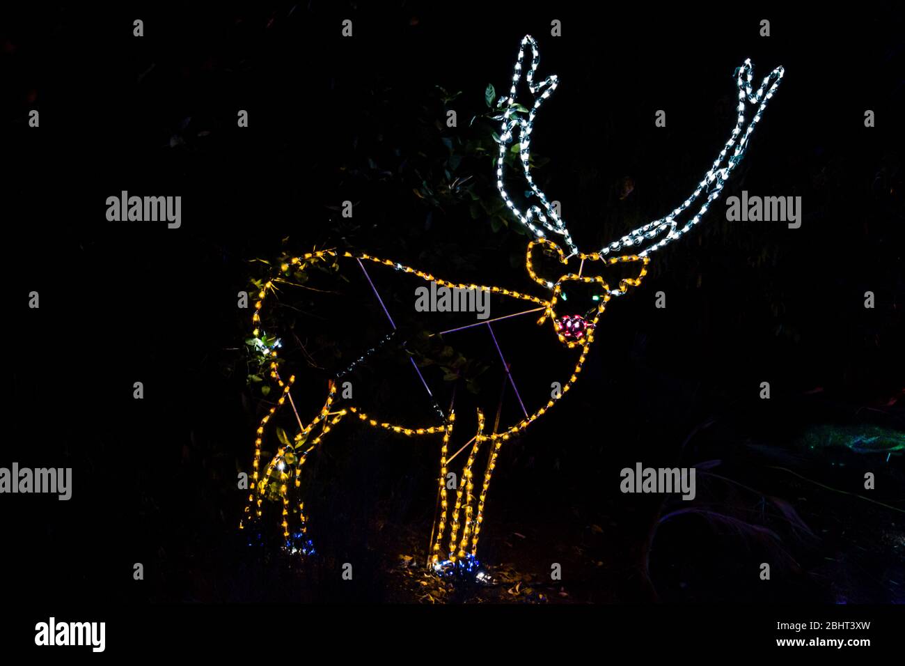 Phoenix Zoolights A Holiday Tradition Stock Photo Alamy