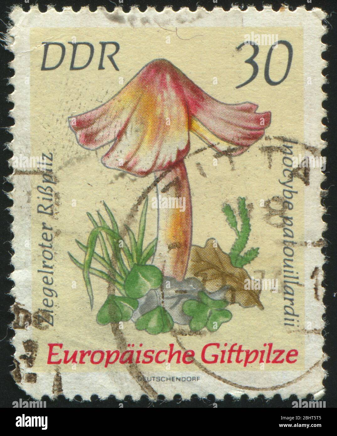 GERMANY- CIRCA 1974: stamp printed by Germany, shows Inocybe patouillardii, circa 1974. Stock Photo