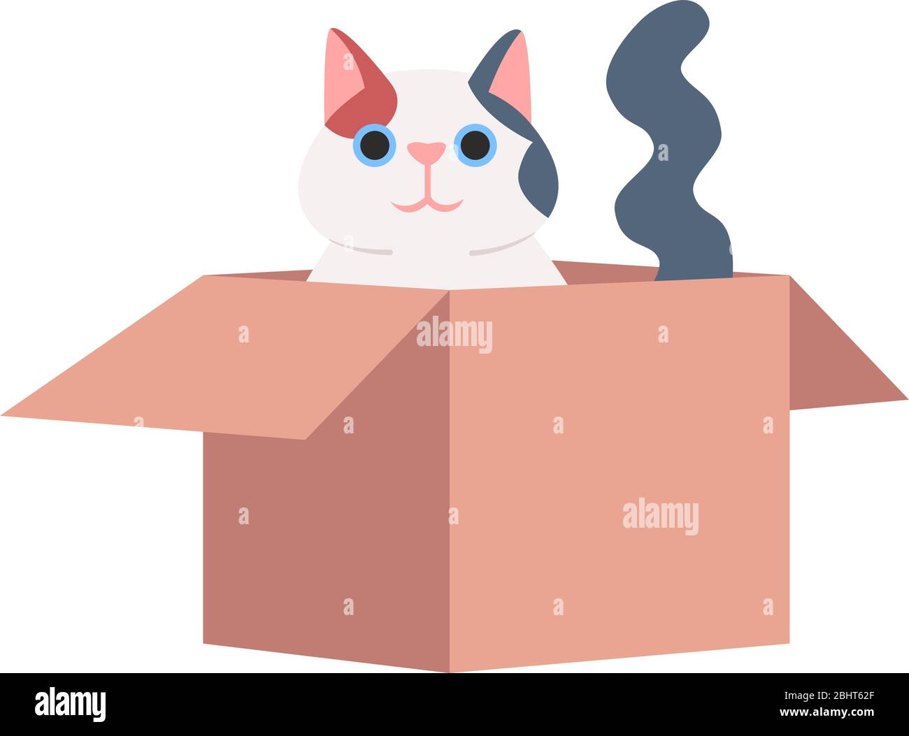 Cat In Cardboard Box How To Make An Easy Stylish Cardboard Box Cat Bed Your Purrfect Kitty
