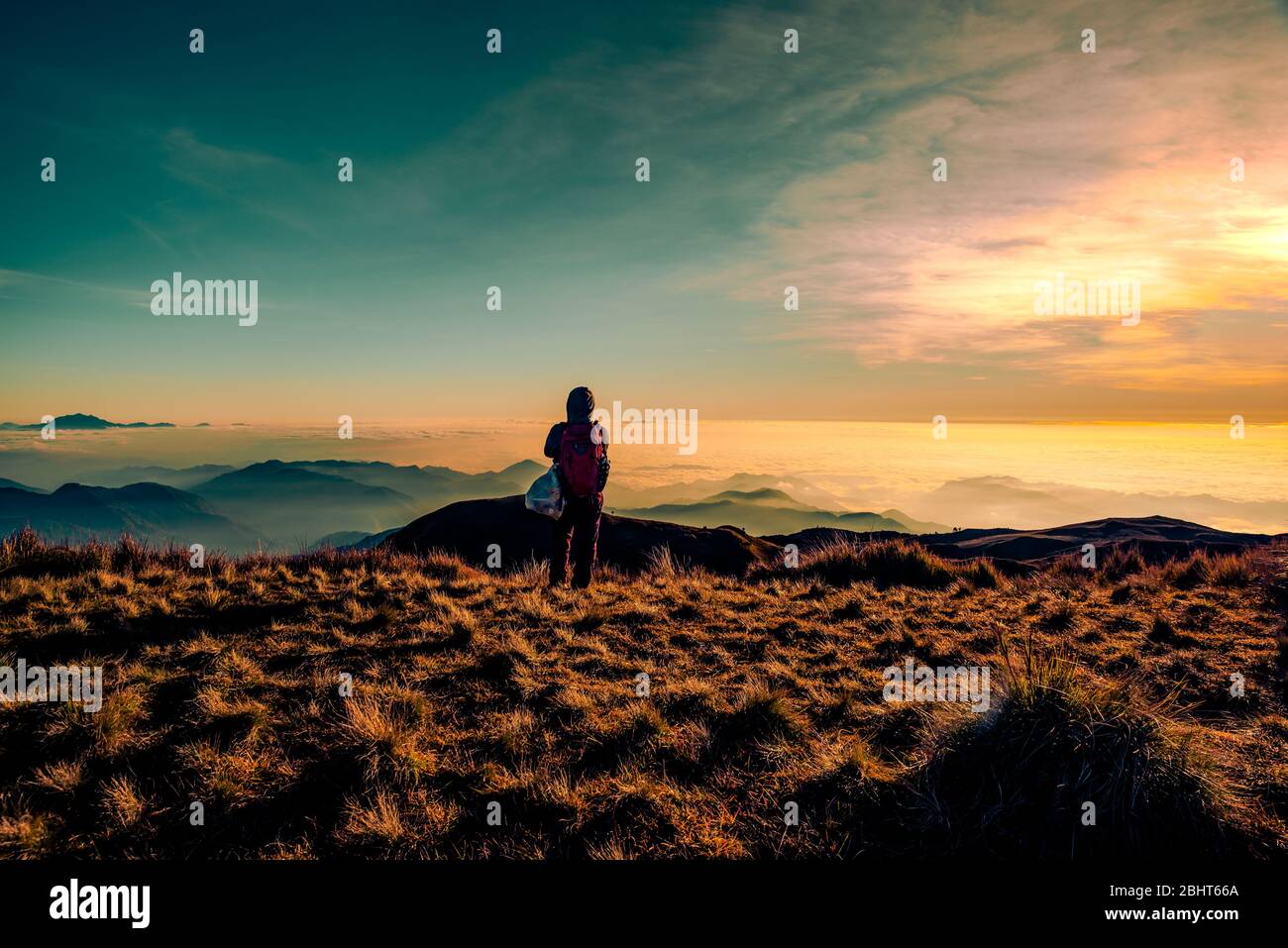 An adult mountainer standing at the peak of Mt. Pulag enjoying the breathtaking view of sea of clouds during sunrise. Stock Photo