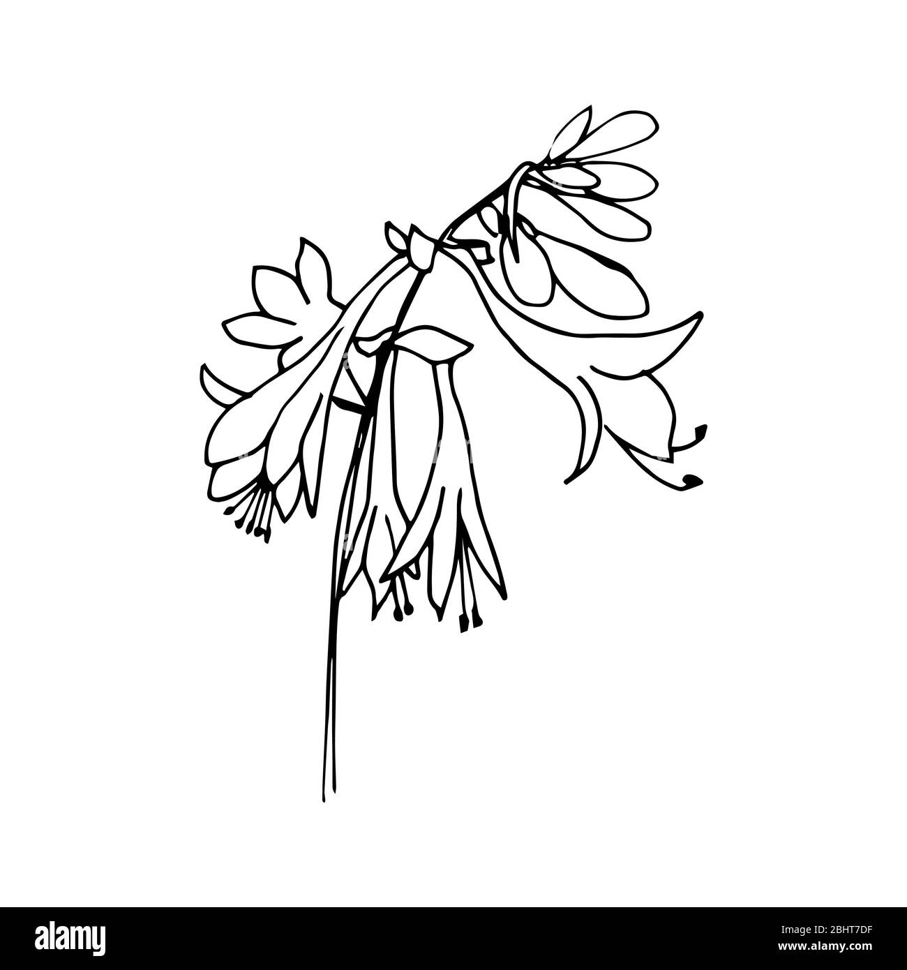 Wedding Invitation Background Designs Black And White