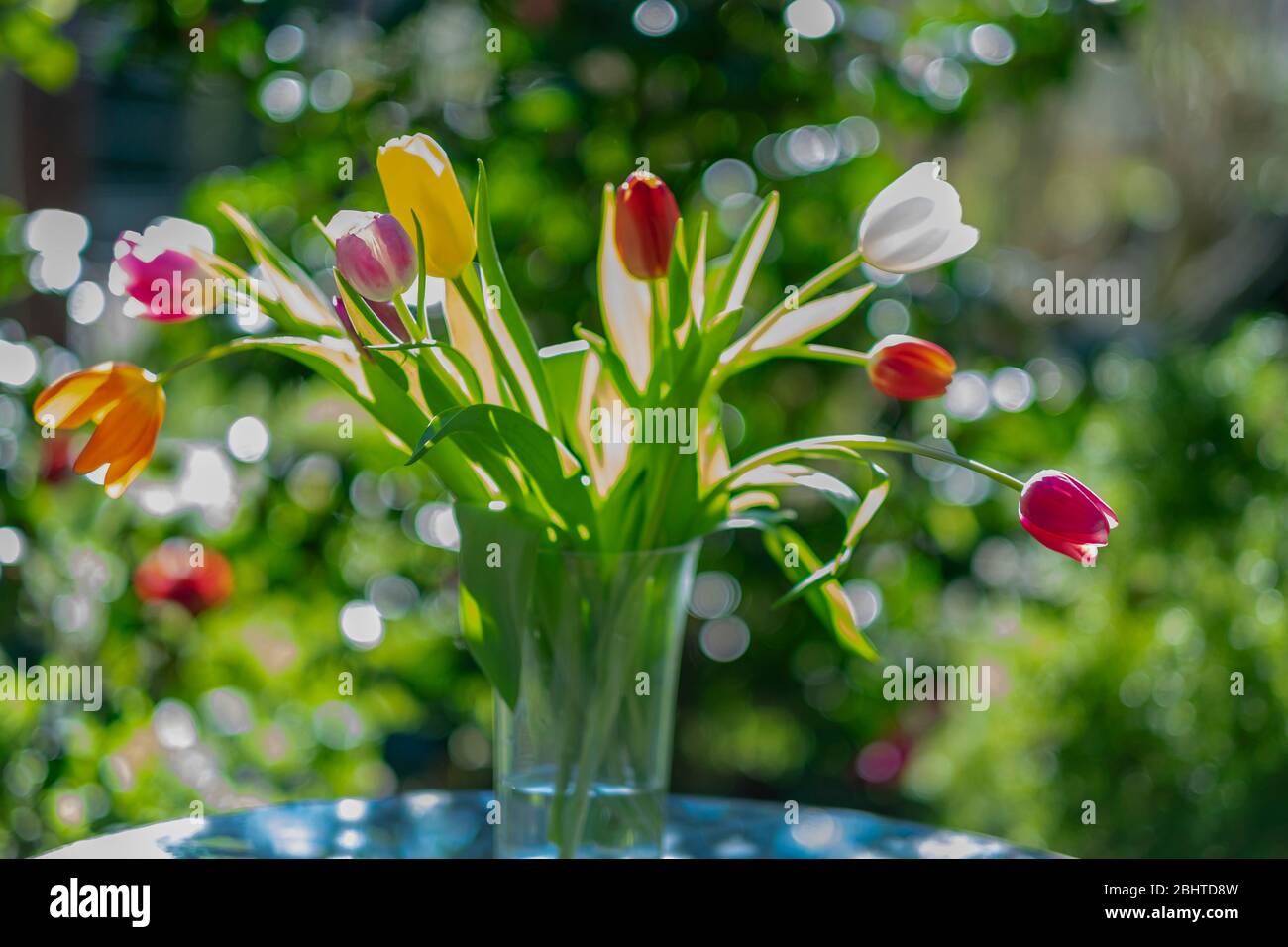 Fresh flowers. Outdoors background, Shallow depht of field and high key Stock Photo