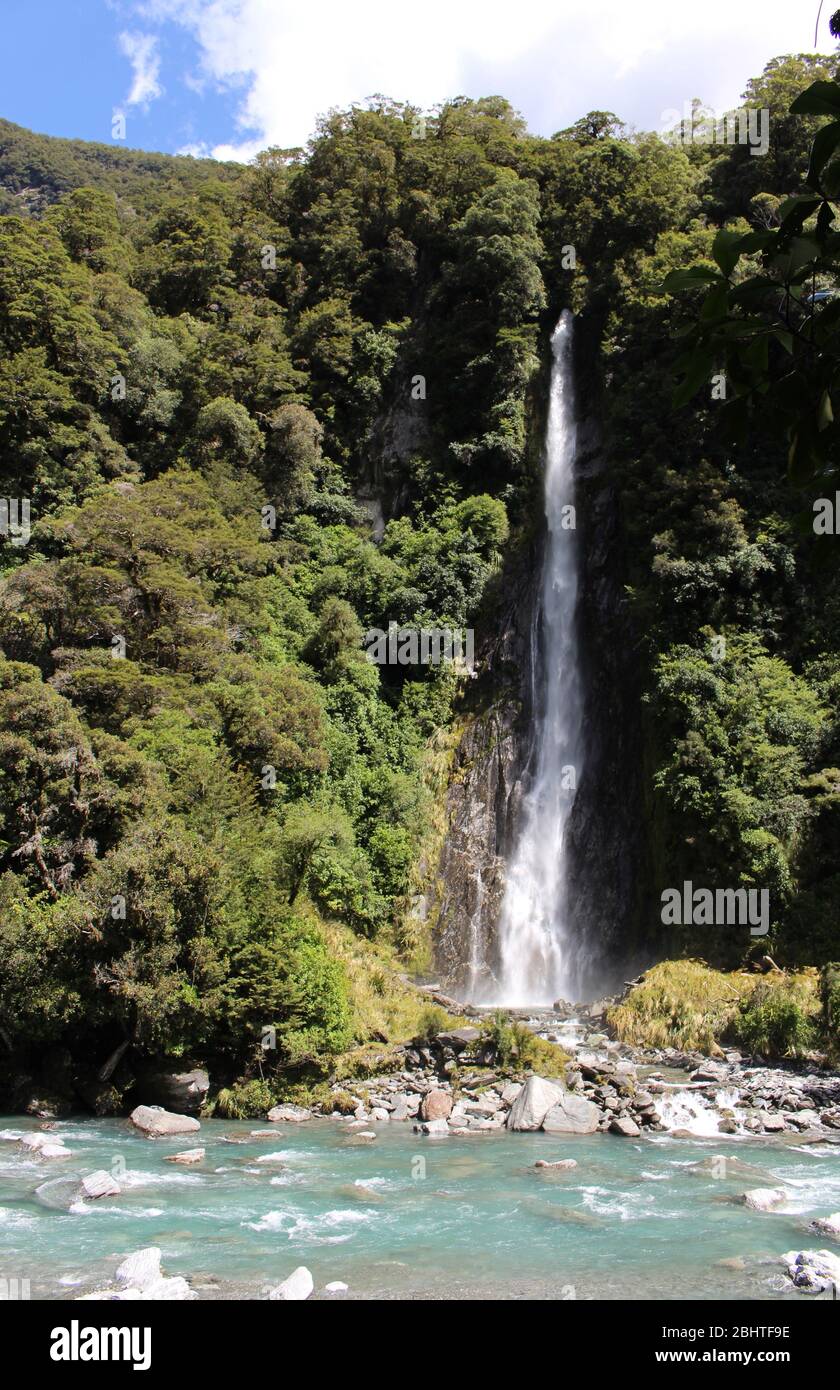 Stunning Thunder Creek Falls in New Zealand. It's 28m high waterfall and feeds into the Haast River. Stock Photo