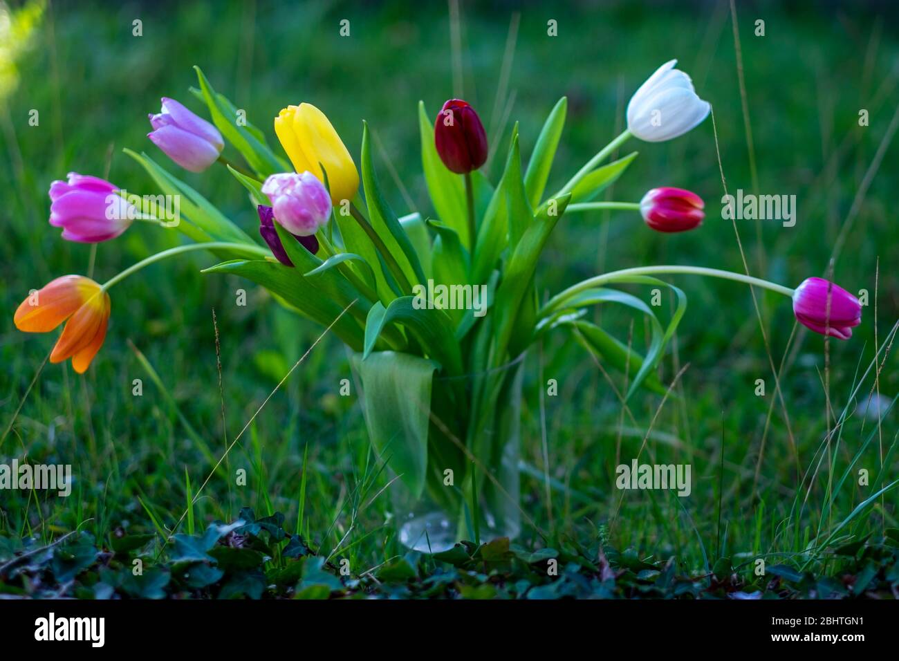 Fresh flowers. Outdoors background, Shallow depht of field and high key Stock Photo