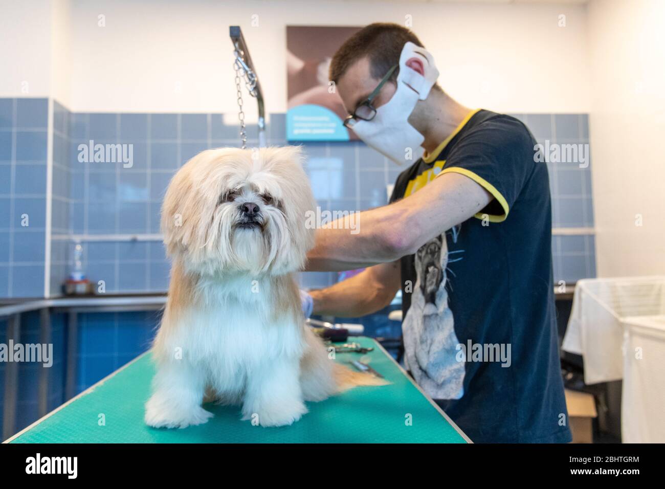 Ferrara, Italy. 27 April, 2020.  Dog grooming shops reopen after the lockout period due to the covid19 pandemic in Ferrara, Italy.   Credit: Filippo Rubin / Alamy Live News Stock Photo